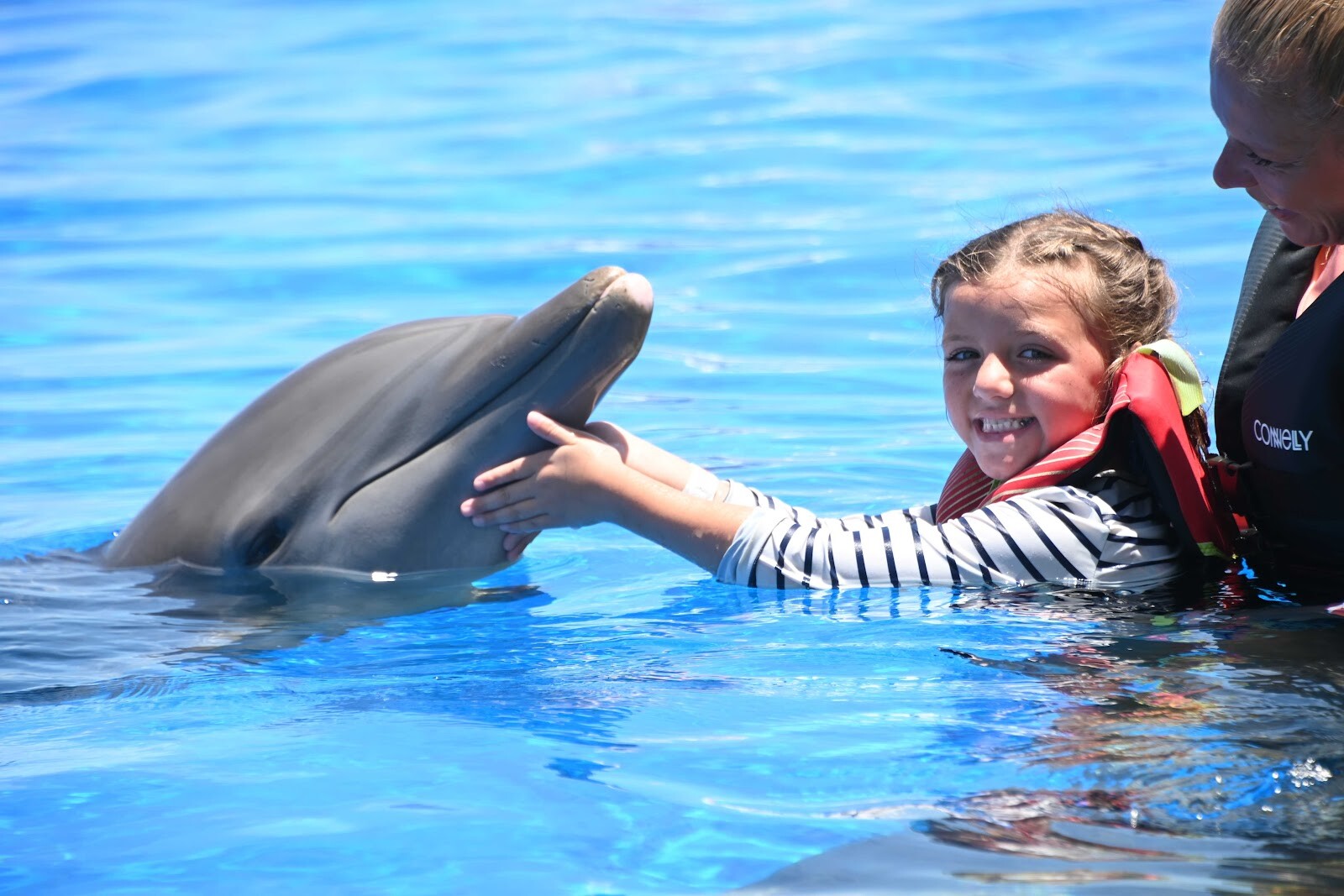 Marineland Dolphin Adventure